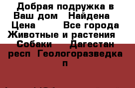 Добрая подружка,в Ваш дом!!!Найдена › Цена ­ 10 - Все города Животные и растения » Собаки   . Дагестан респ.,Геологоразведка п.